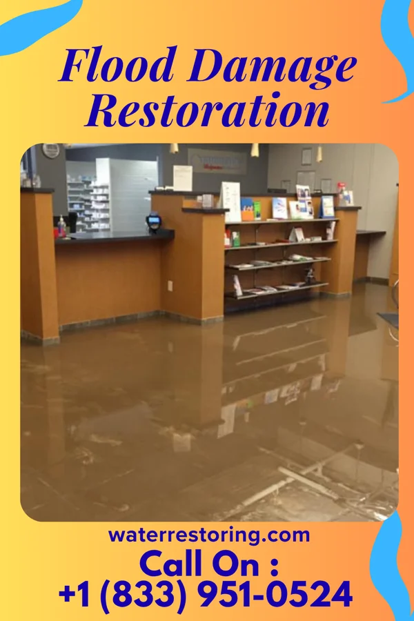 Flood Damage Restoration in New Haven, IN