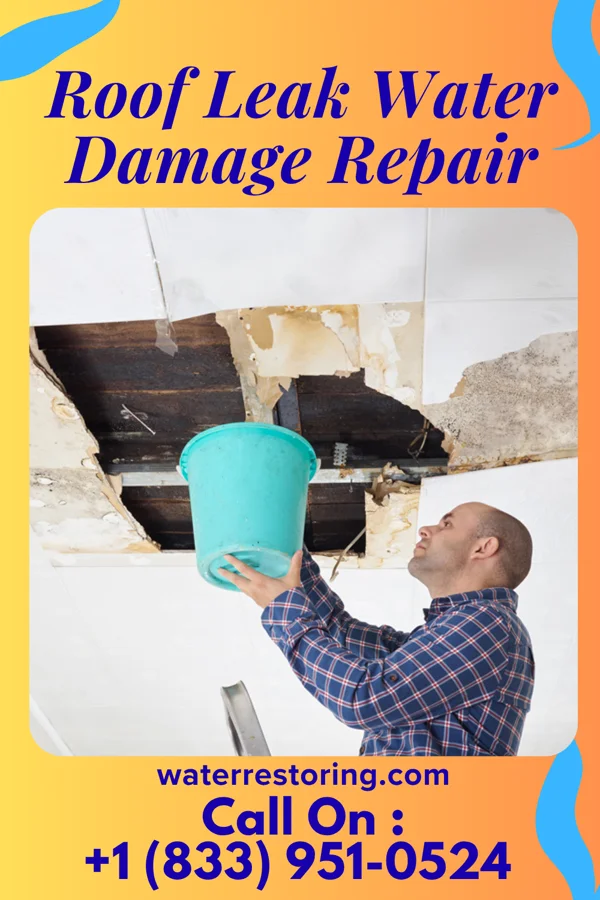 Roof Leak Water Damage Repair in New Haven, IN