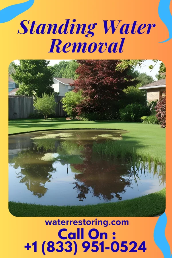 Standing Water Removal in New Haven, IN